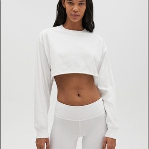 cropped aritzia long sleeve in brown